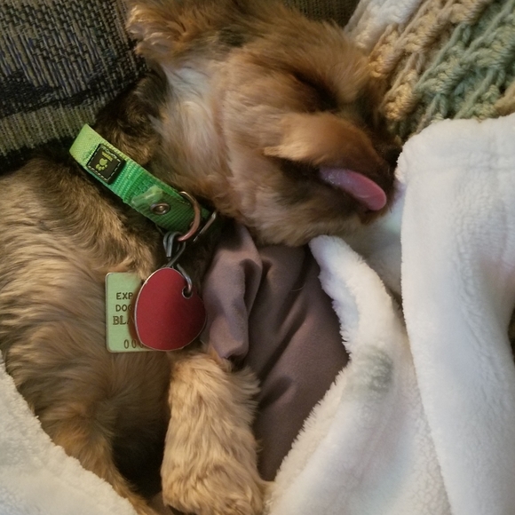 Meet your Posher, Kim - Picture 2 of 2